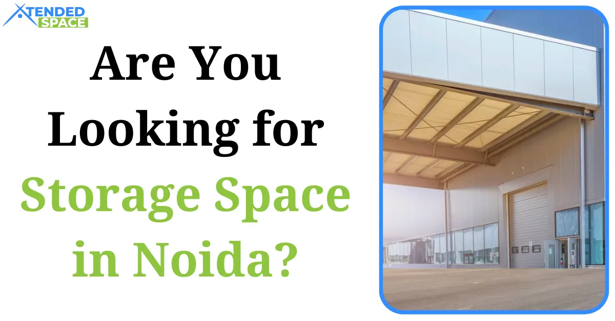 Are You Looking For Storage Space In Noida 