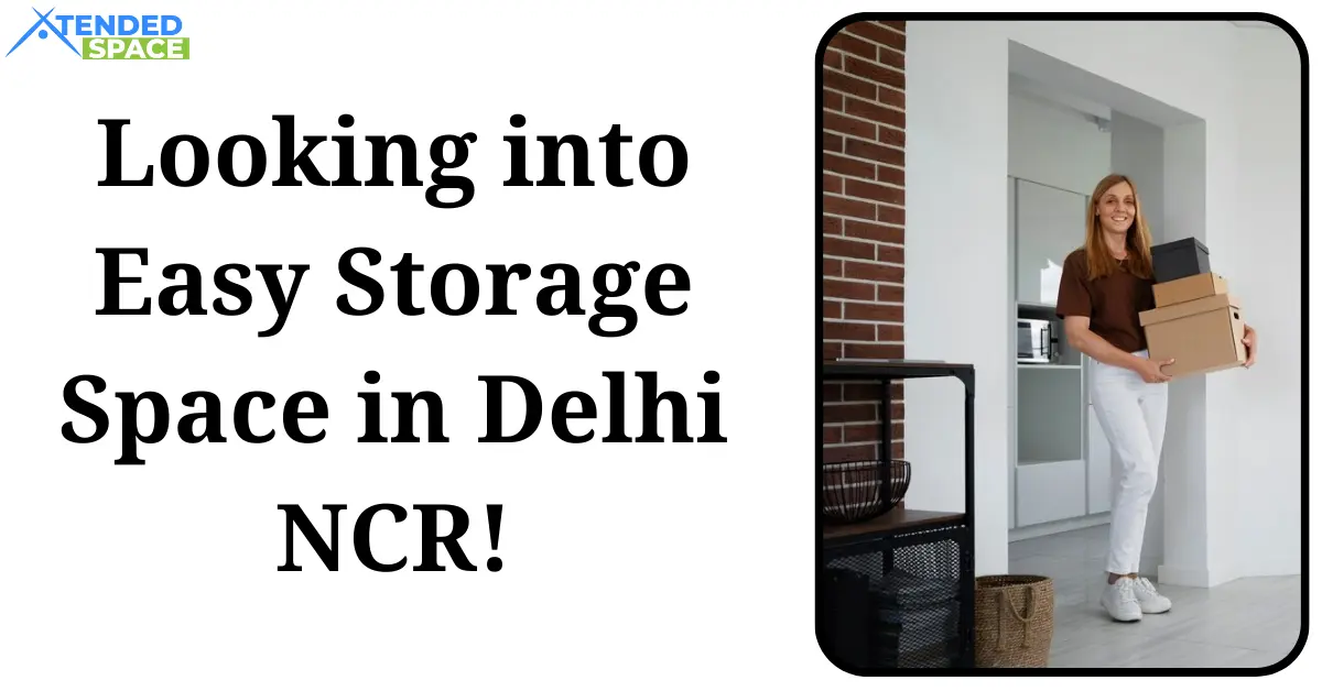Looking Into Easy Storage Space In Delhi NCR