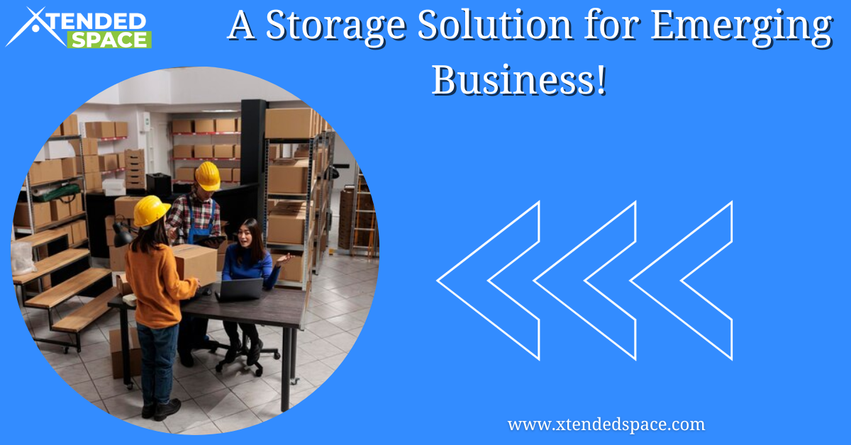 Storage Solution For Emerging Business